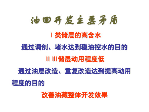 堵水及调堵技术2