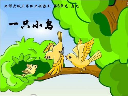 小学语文《一只小鸟》课件