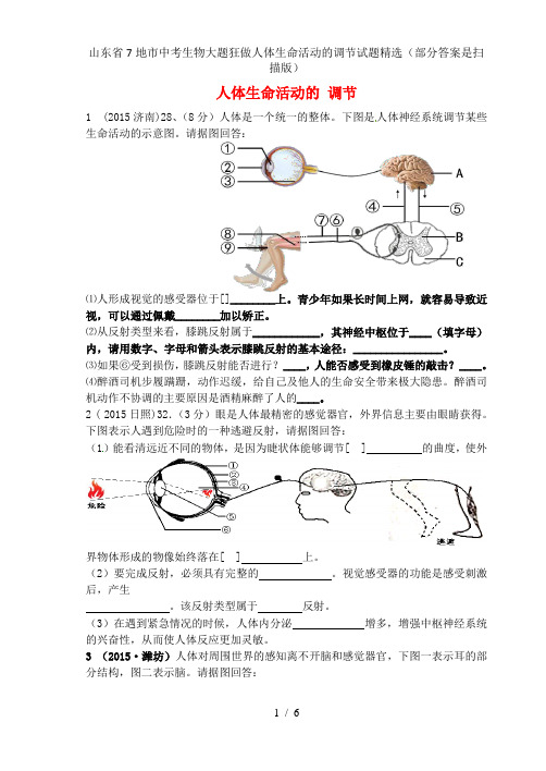 山东省7地市中考生物大题狂做人体生命活动的调节试题精选(部分答案是扫描版)