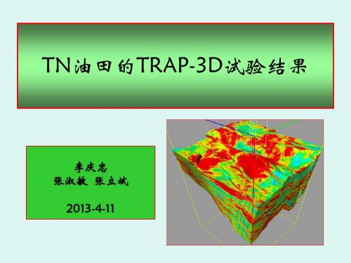 05--苏丹TN油田的TRAP-3D试验结果