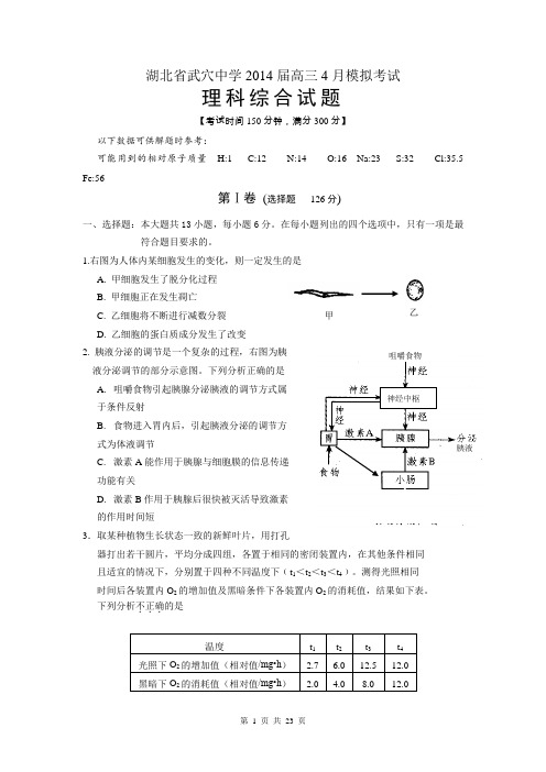 湖北省武穴中学2014届高三4月摸底考试 理综