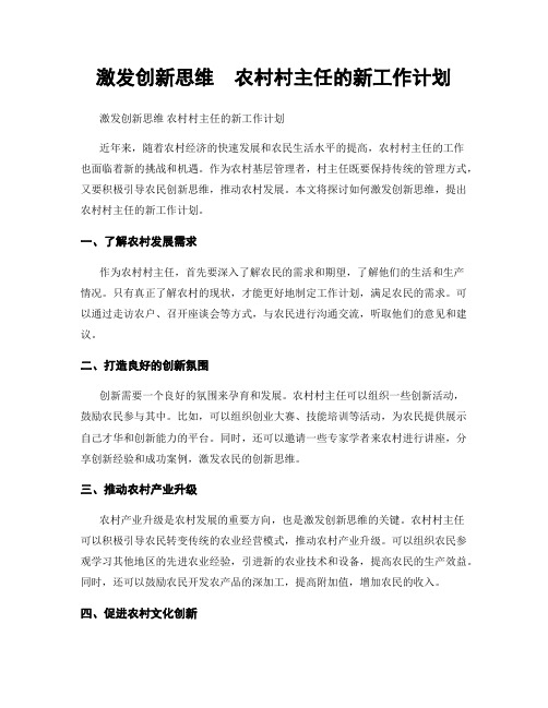 激发创新思维  农村村主任的新工作计划