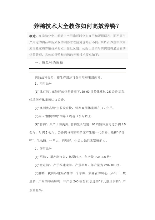 养鸭技术大全教你如何高效养鸭