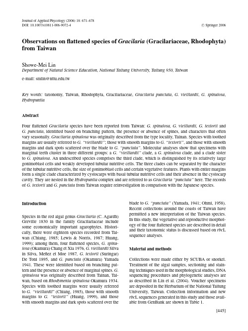 Observations on flattened species of Gracilaria (Gracilariaceae, Rhodophyta)