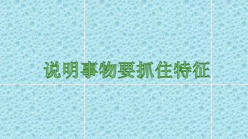 《说明事物要抓住特征》八年级语文上册课件