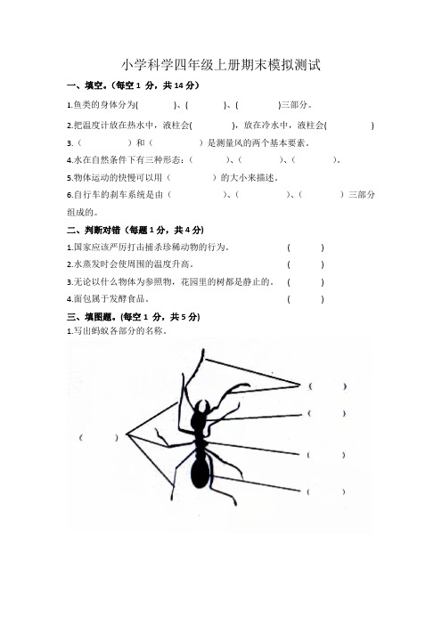 青岛版小学科学四年级上册期末练习题