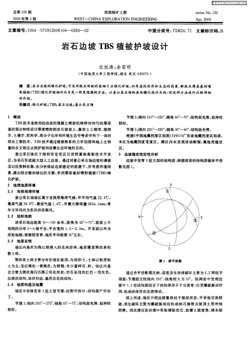 岩石边坡TBS植被护坡设计