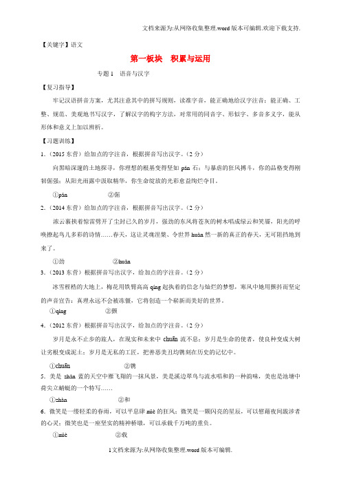 【语文】中考语文一轮复习专题1语音与汉字