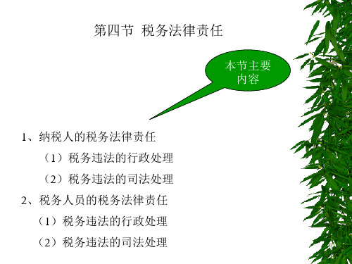 电子课件 《税法》梁伟样 9-4