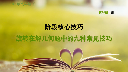 沪科版九年级数学下册第24章阶段核心技巧  旋转在解几何题中的九种常见技巧