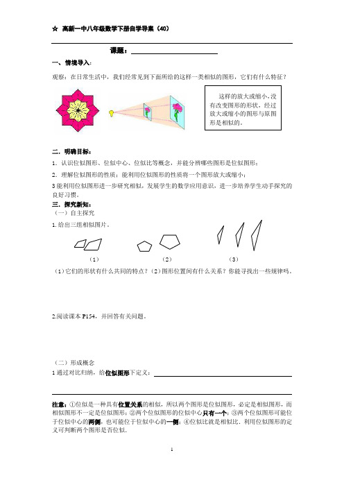 高新一中八年级数学下册自学导案(40)