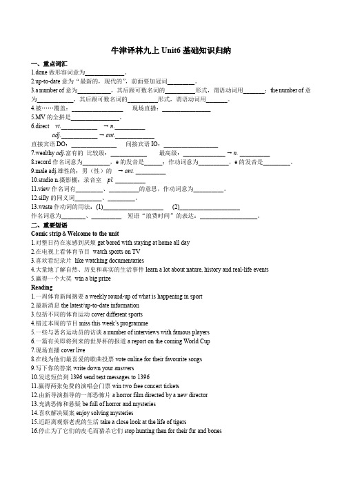 牛津译林九年级上Unit6基础知识归纳 