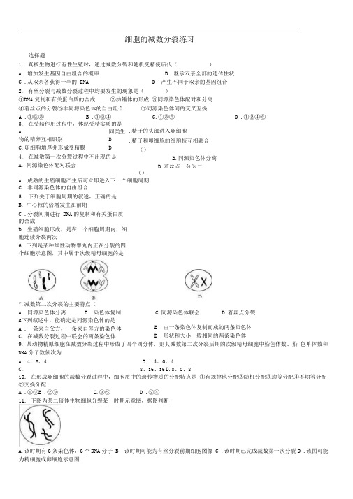 人教版高中生物必修二减数分裂经典习题