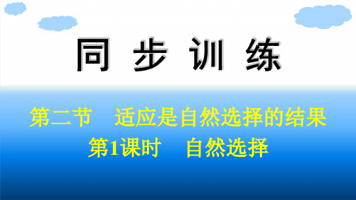 浙科版高中生物学必修2精品课件 第五章 生物的进化 第二节 第1课时 自然选择 (2)