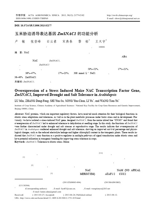 玉米胁迫诱导表达基因ZmSNAC1的功能分析