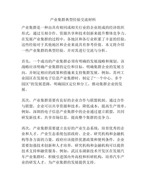 产业集群典型经验交流材料