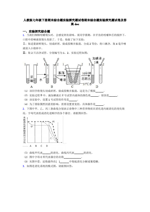 人教版七年级下册期末综合题实验探究题试卷期末综合题实验探究题试卷及答案doc