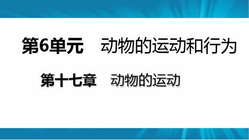 苏教版八年级生物上册 第十七章第一节 动物运动的形式和能量供应导学课件(共15张PPT)