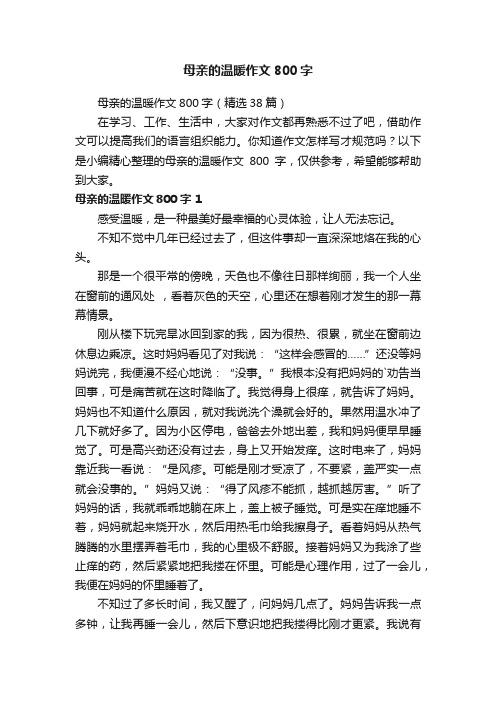 母亲的温暖作文800字（精选38篇）