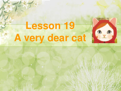 新概念三 lesson 19