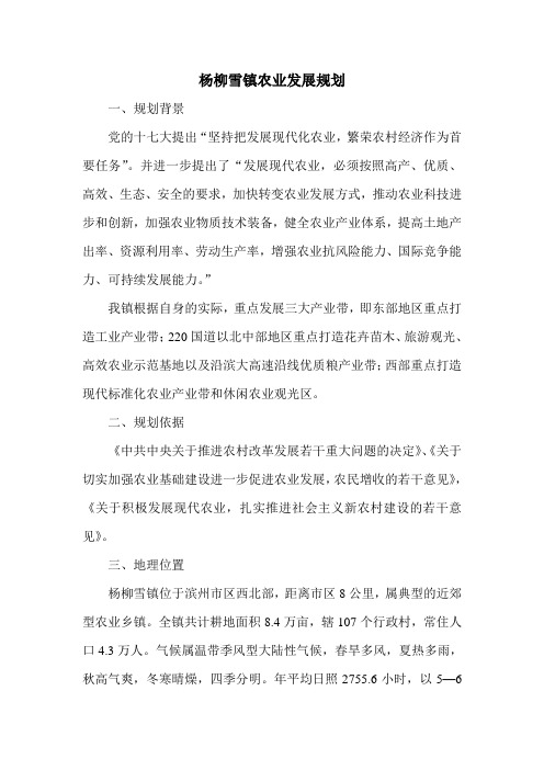 杨柳雪镇农业发展规划