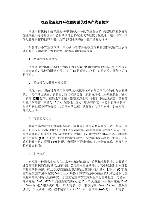 江西紫金红打瓜在福海县优质高产栽培技术
