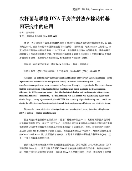 农杆菌与质粒DNA子房注射法在棉花转基因研究中的应用