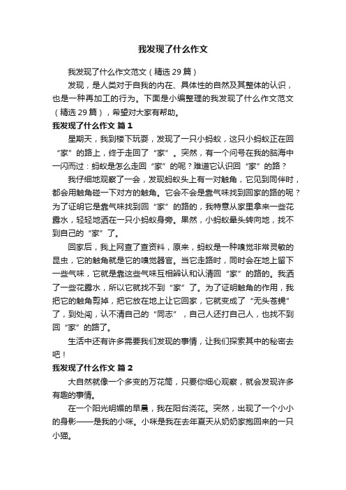 我发现了什么作文