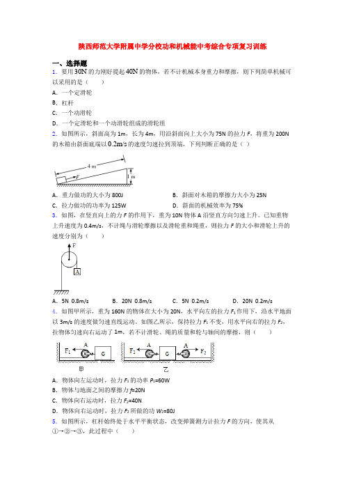 陕西师范大学附属中学分校功和机械能中考综合专项复习训练