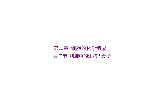 苏教版高中生物必修一课件第二章第二节 细胞中的生物大分子 课件67张PPT