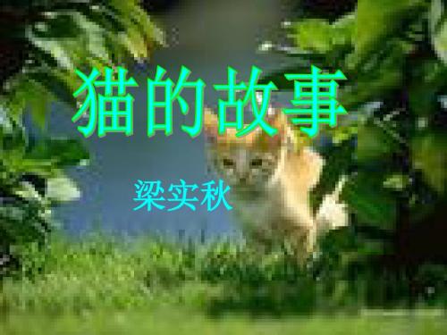 猫的故事ppt10 北师大版