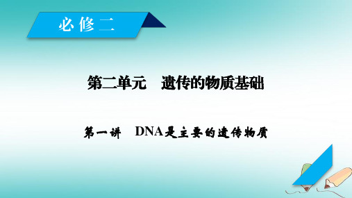 2019高考生物一轮总复习第二单元遗传的物质基础第1讲DNA是主要的遗传物质课件新人教版必修2