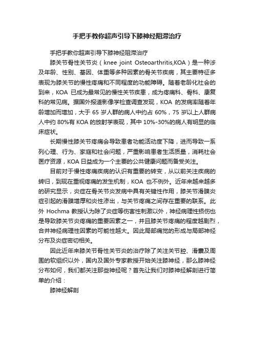 手把手教你超声引导下膝神经阻滞治疗