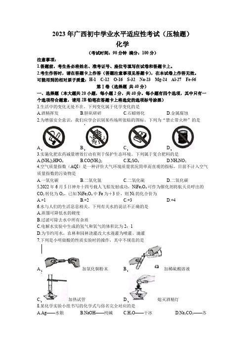 2023年广西贺州市昭平县中考三模化学试题(含答案)