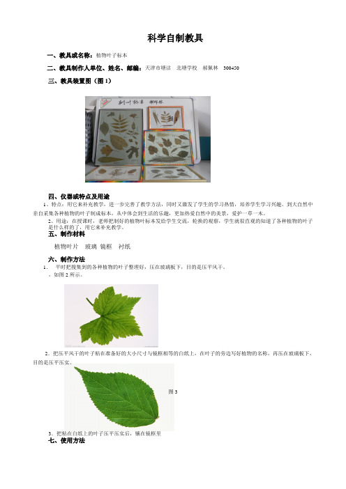 科学自制教具