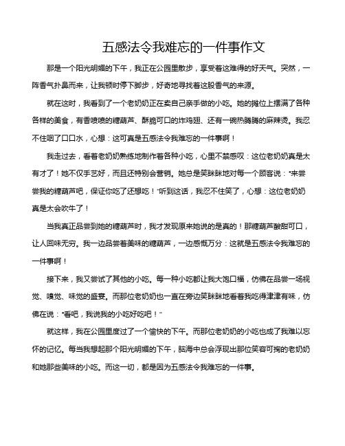 五感法令我难忘的一件事作文