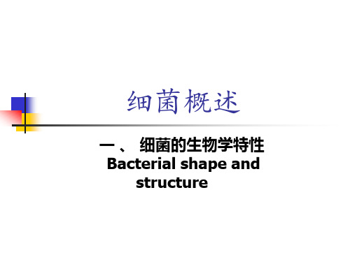 细菌的形态与结构