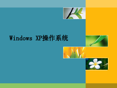 Windows XP基本操作