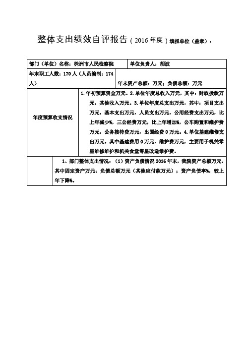 整体支出绩效自评报告