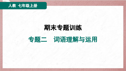 2024年秋季部编版七年级上册语文期末复习专题二词语理解与运用