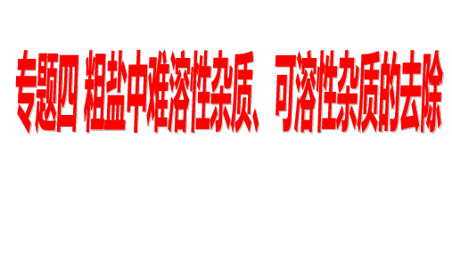 专题四 粗盐中难溶性杂质、可溶性杂质的去除