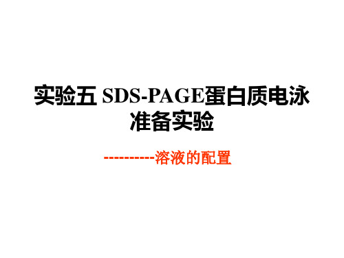 实验五 SDS-PAGE蛋白质电泳准备实验