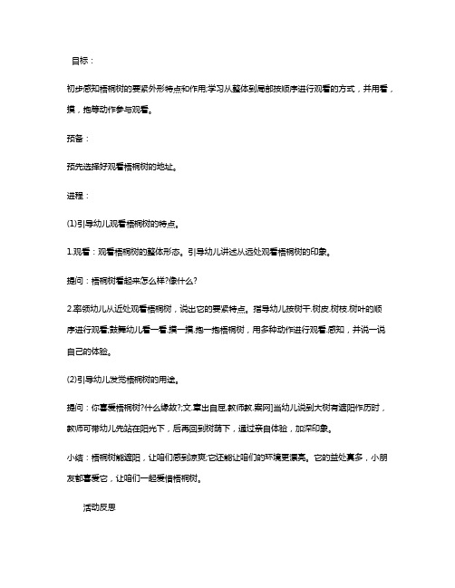 幼儿园小班科学优质课教案《高高的梧桐树》含反思