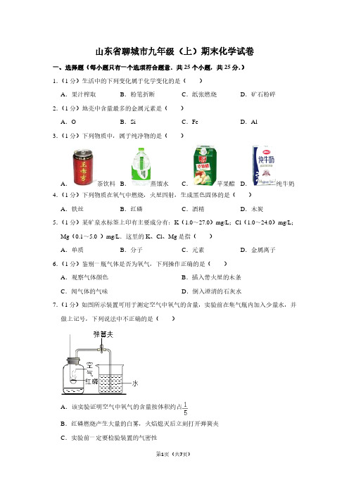 山东省聊城市九年级(上)期末化学试卷