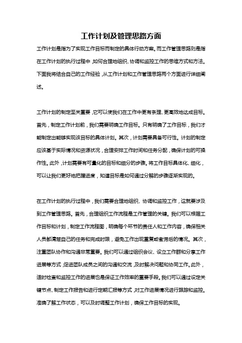 工作计划及管理思路方面