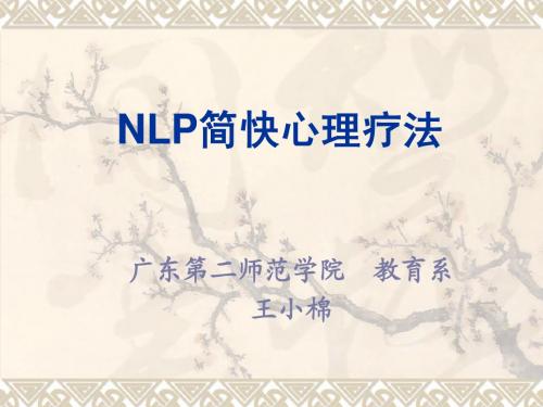 NLP简快心理疗法