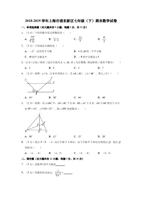 2018-2019学年上海市浦东新区七年级(下)期末数学试卷