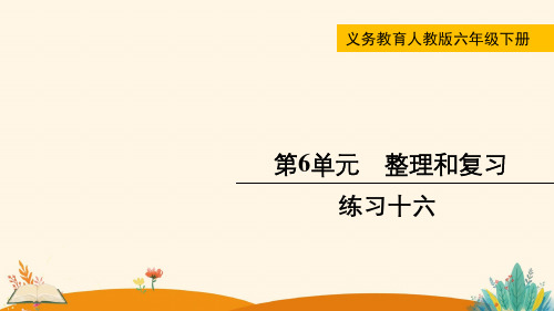 练习十六——2025学年六年级下册数学人教版