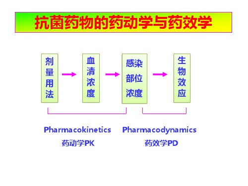 抗菌素-专业术语