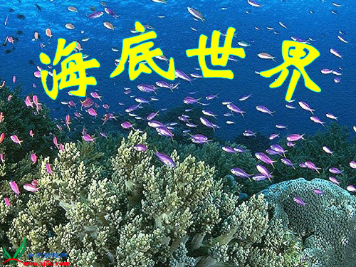 《海底世界》PPT之一课件(苏教版三年级语文下册课件)